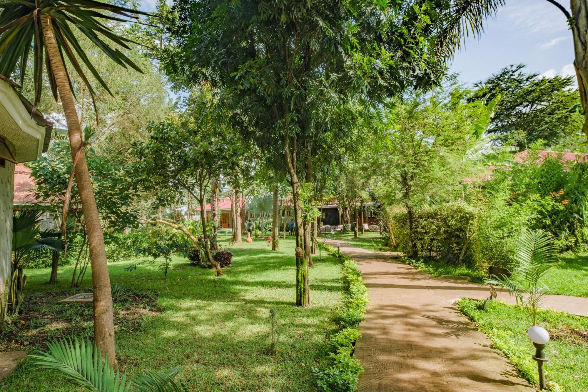 阿鲁沙星球山林小屋 外观 照片