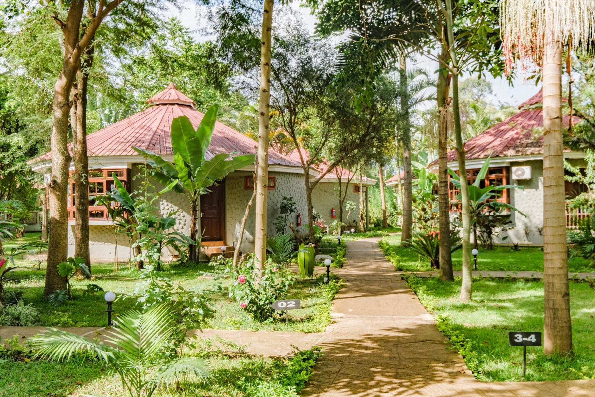 阿鲁沙星球山林小屋 外观 照片